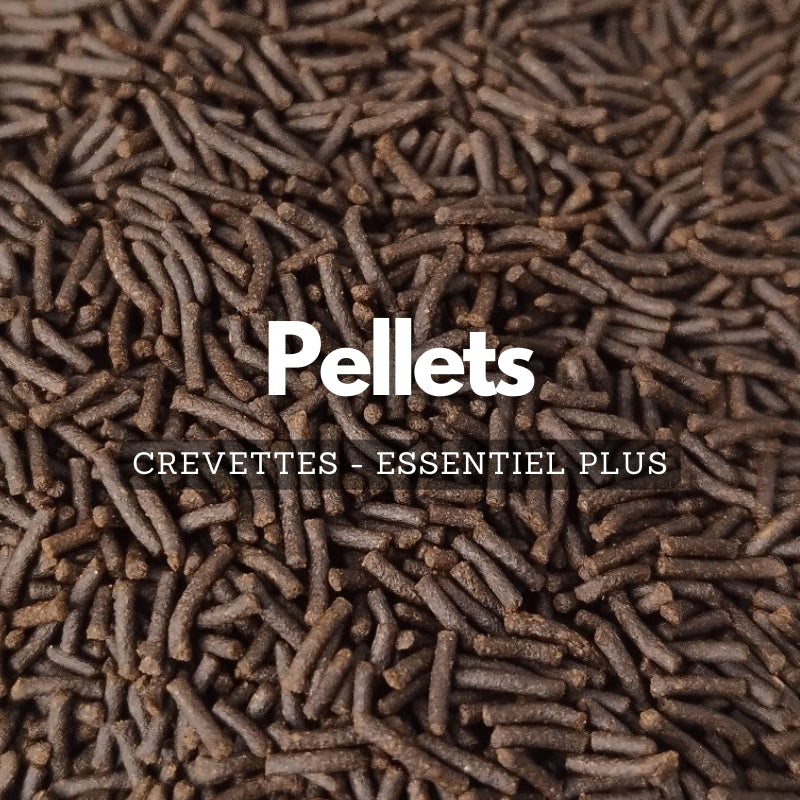 Pellets pour crevettes - Essentiel Plus