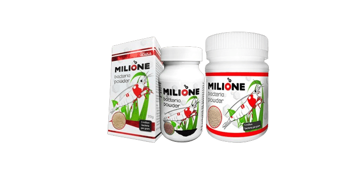 Milione – Poudre de bactéries SL Aqua