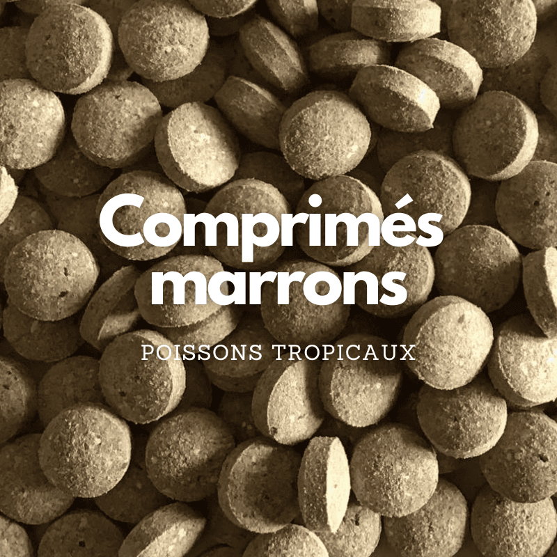 Comprimés marrons pour poissons tropicaux