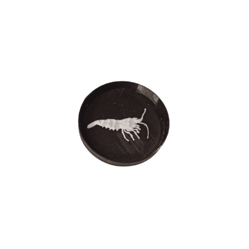 Coupelle de nourrissage - Ø 6cm – photo 1