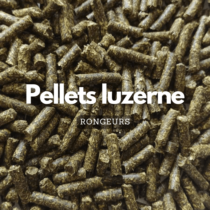Pellets à la luzerne – photo 1