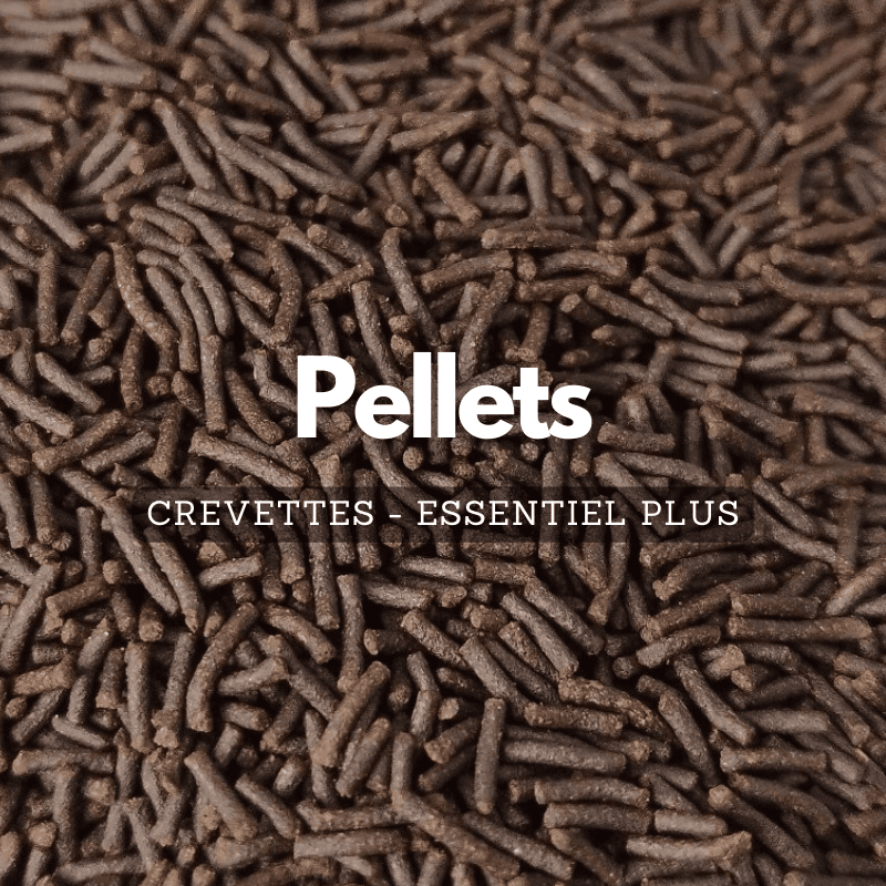 Pellets de nourriture pour crevettes d'aquarium