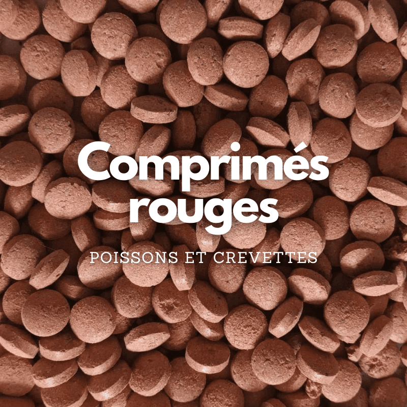 Comprimés de nourriture pour poissons de fond