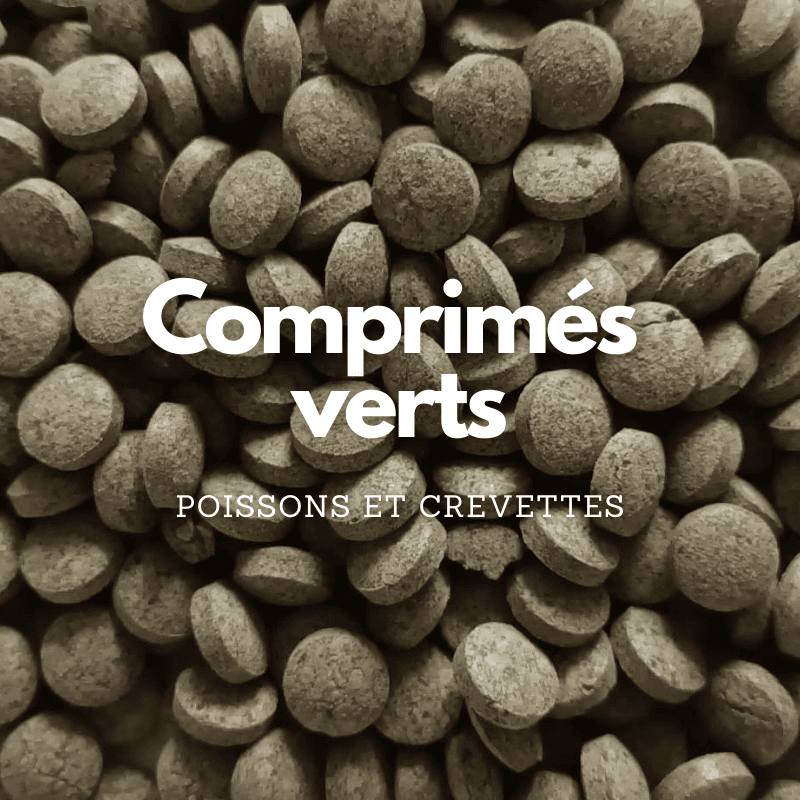 Comprimés verts pour poissons de fond et crevettes – photo 1