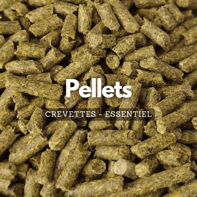 Pellets pour crevettes - Essentiel