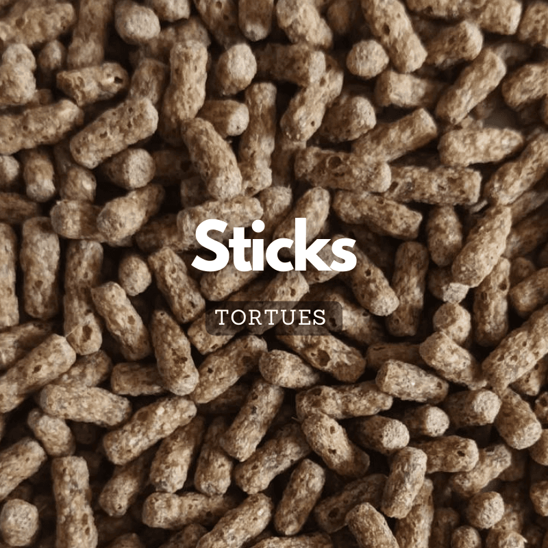 Sticks pour tortues – photo 1
