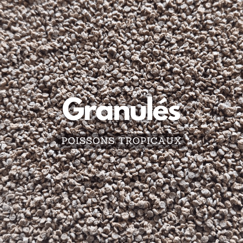 Granulés pour poissons tropicaux