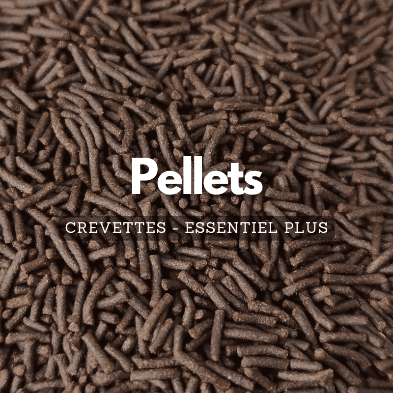 Pellets pour crevettes - Essentiel Plus
