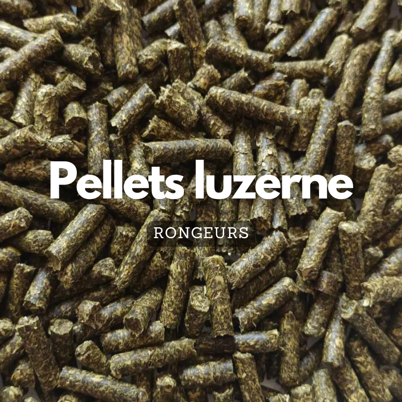 Pellets à la luzerne