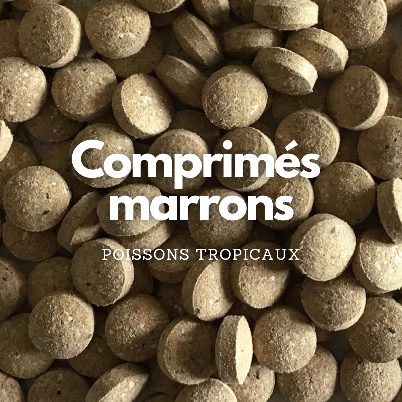 Comprimés pour poissons tropicaux