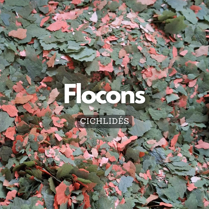 Flocons pour cichlidés
