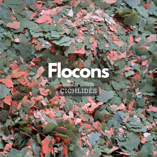Flocons pour cichlidés