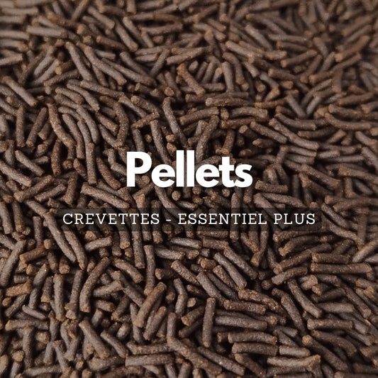 Pellets pour crevettes - Essentiel Plus