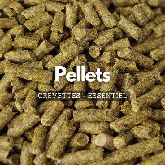 Pellets pour crevettes - Essentiel