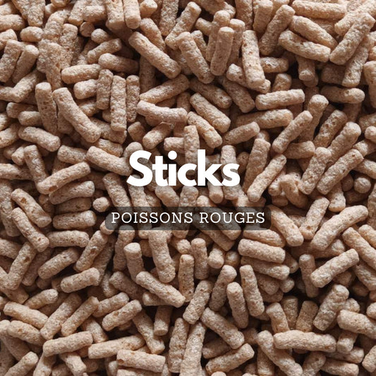 Sticks pour poissons rouges